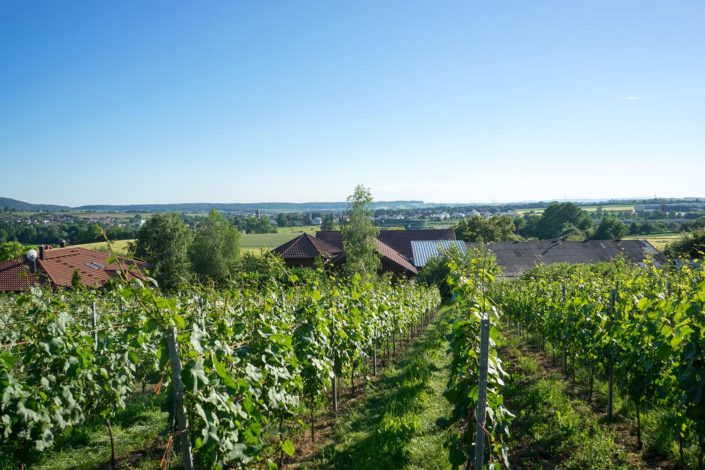 Wo unsere köstlichen Weine reifen