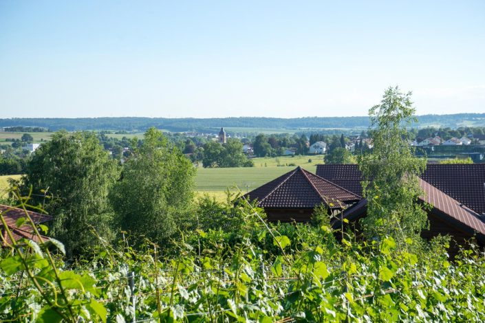 Den Blick ins Ländle schweifen lassen