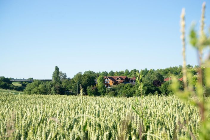 Landlust in Abstatt